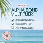Beach Day Prep Bundle